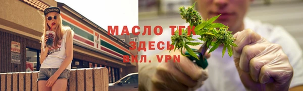 дмт Протвино