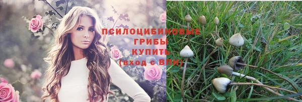мяу мяу кристалл Алексин
