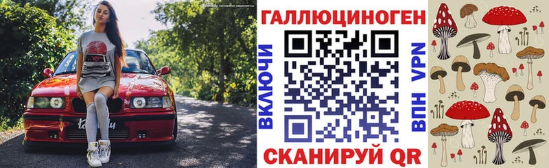 Галлюциногенные грибы Psilocybine cubensis  закладки  Ипатово 