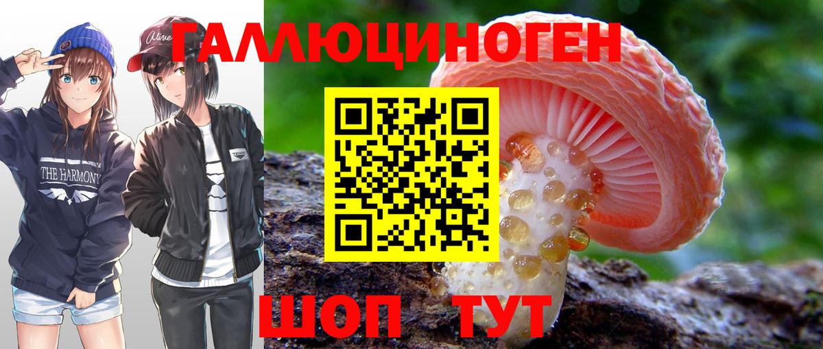 Галлюциногенные грибы GOLDEN TEACHER  Галлюциногенные грибы Psilocybe  Вход с VPN  Ипатово 