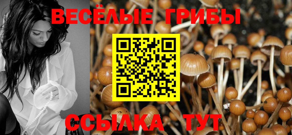 Галлюциногенные грибы ЛСД Ипатово